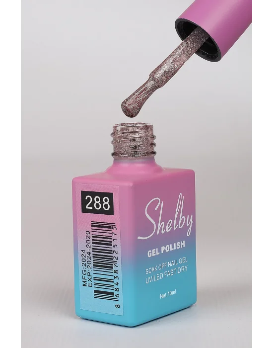 SHELBY 10 ML. 288 DİSCO & KEDİ GÖZÜ KALICI OJE