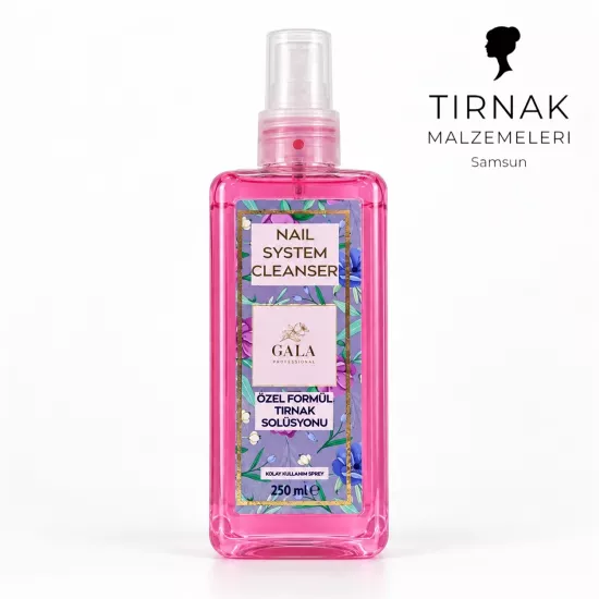 GALA SMART 250ML SPRAY CLEANSER