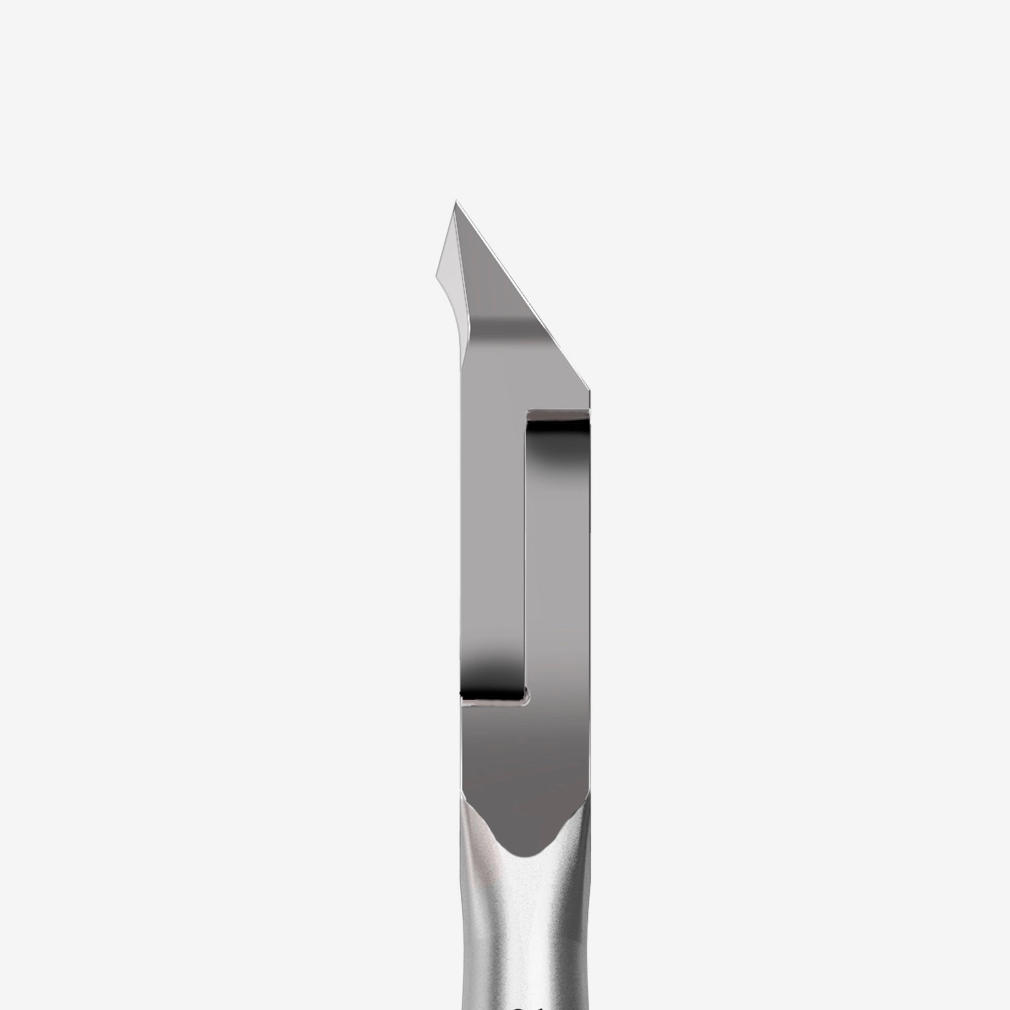 STALEKS SMART 10/4 mm Profesyonel Tırnak Eti Pensi